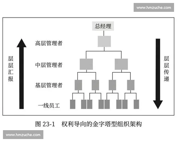 巴恩斯VS巅峰对决全面解析赛前走势与关键看点深度预测胜负走向